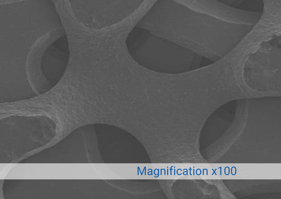 x100 Magnification of Surface Roughness & Porosity