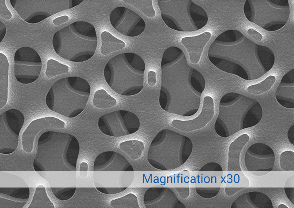 x30 Magnification of Surface Roughness & Porosity