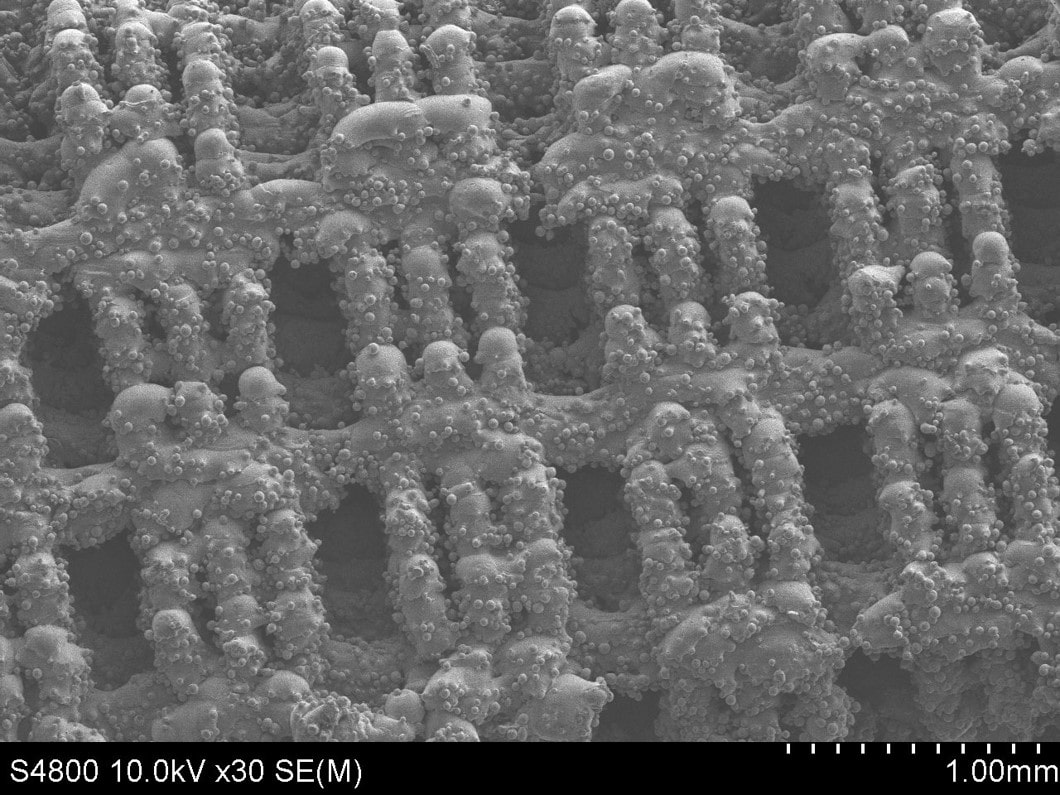 Nanovis Bioceramic Nanotubes